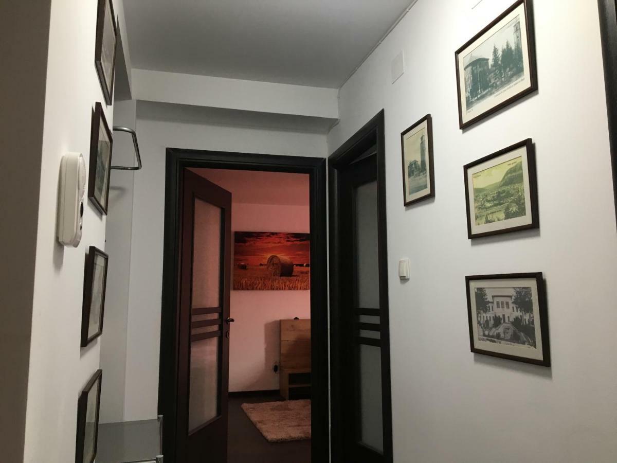 Vibe Apartament Daire Piatra Neamţ Dış mekan fotoğraf