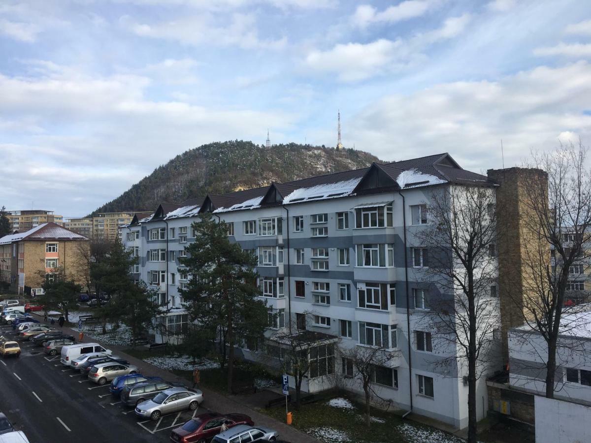 Vibe Apartament Daire Piatra Neamţ Dış mekan fotoğraf